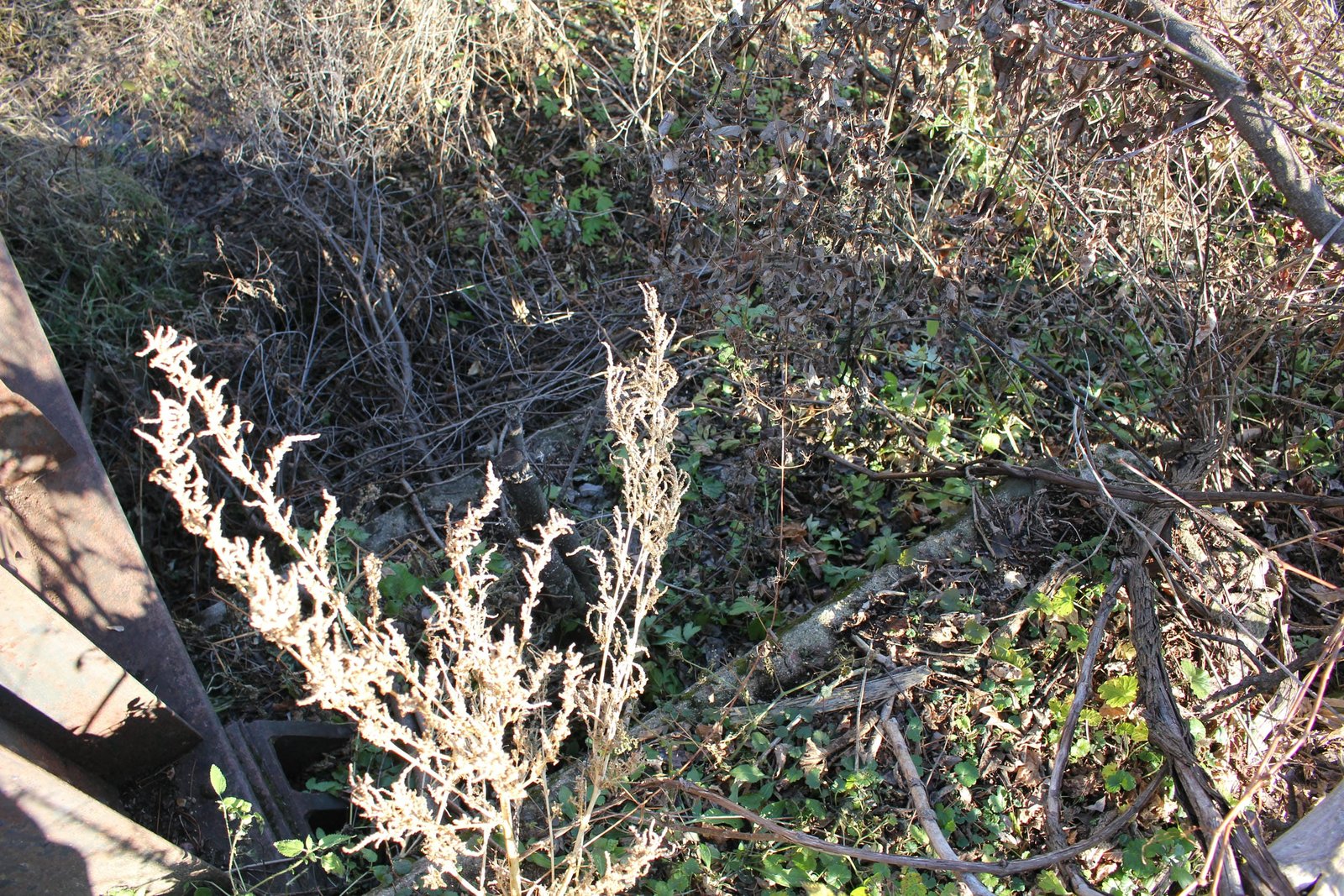 East abutment